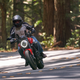 Image for article titled The 2021 Ducati Monster Is A More Refined Kind Of Wild